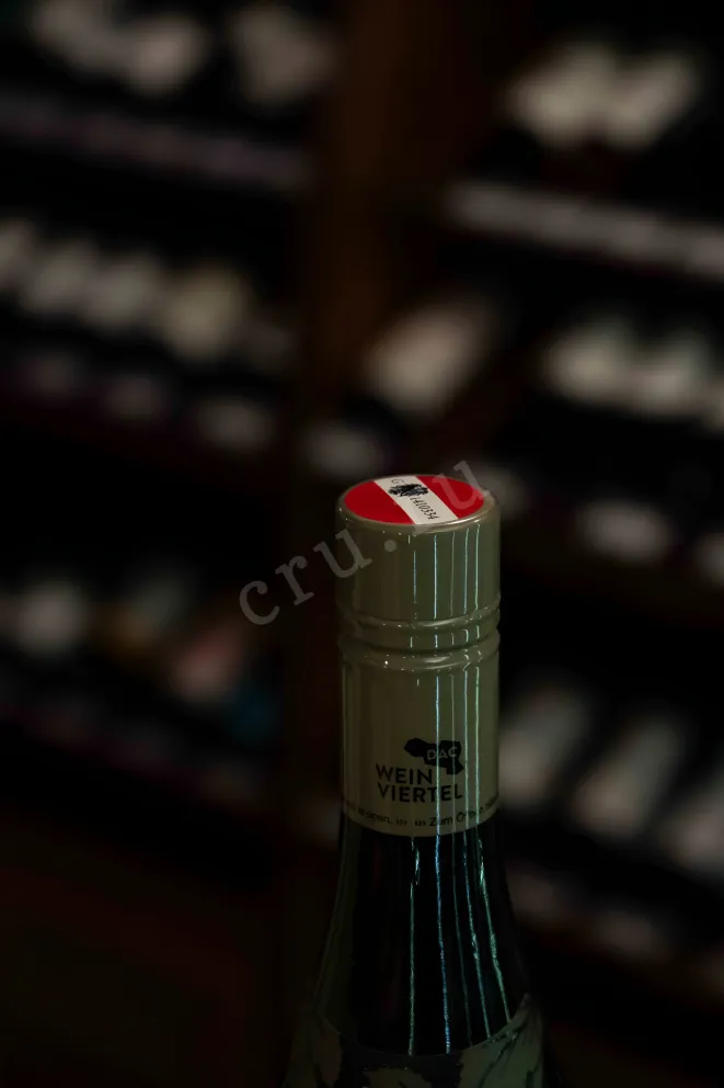 Пробка Weingut R&A Pfaffl Haiden Gruner Veltliner 2024 0.75 л