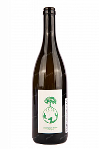 Вино Weingut Werlitsch Sauvignon Blanc Vom Opok 2019 0.75 л