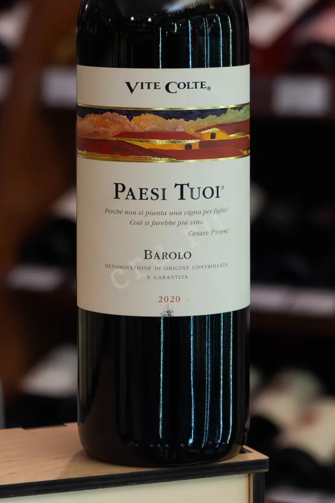 В магазине Крю Профи Paesi Tuoi Barolo DOCG 2020 0.75 л