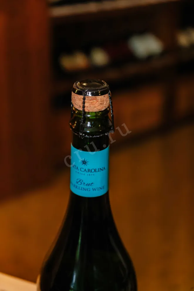 Пробка Santa Carolina Brut 2022 0.75 л