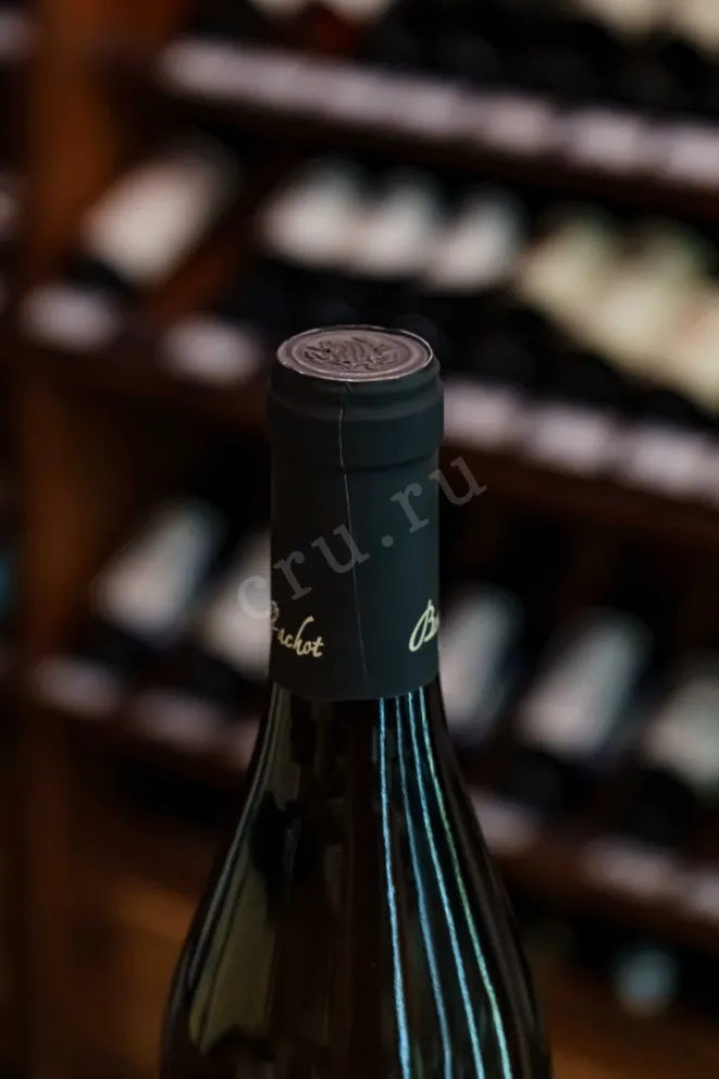 Пробка Domaine Bony Gachot Bourgogne Aligote AOC 2022 0.75 л