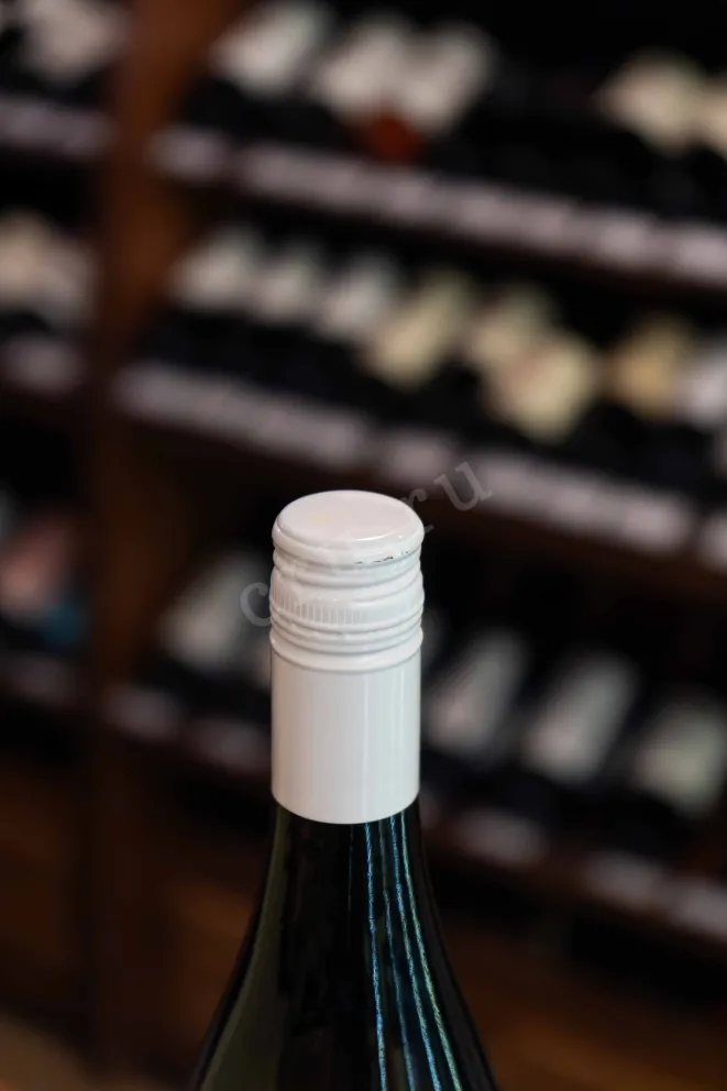 Пробка Clement & Florian Berthier L'Instant Sauvignon Blanc 2021 0.75 л