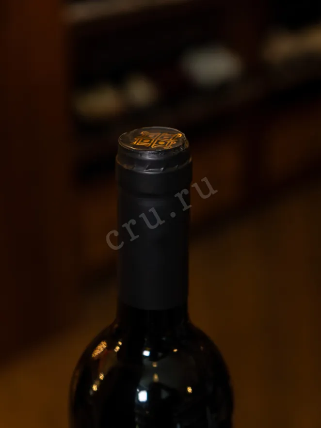 Пробка Sober Bash Cabernet Franc 2023 0.75 л