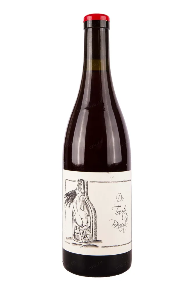 Вино Anne et Jean-Francois De Toute Beaute 2021 0.75 л
