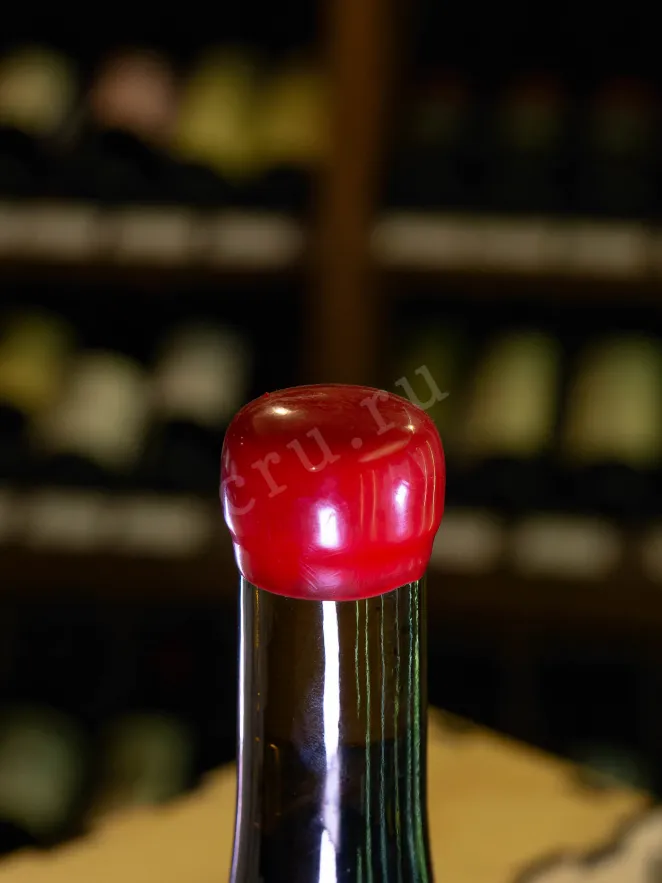 Пробка Pavel Shvets Pinot Noir Cler Nummulite 2021 0.75 л