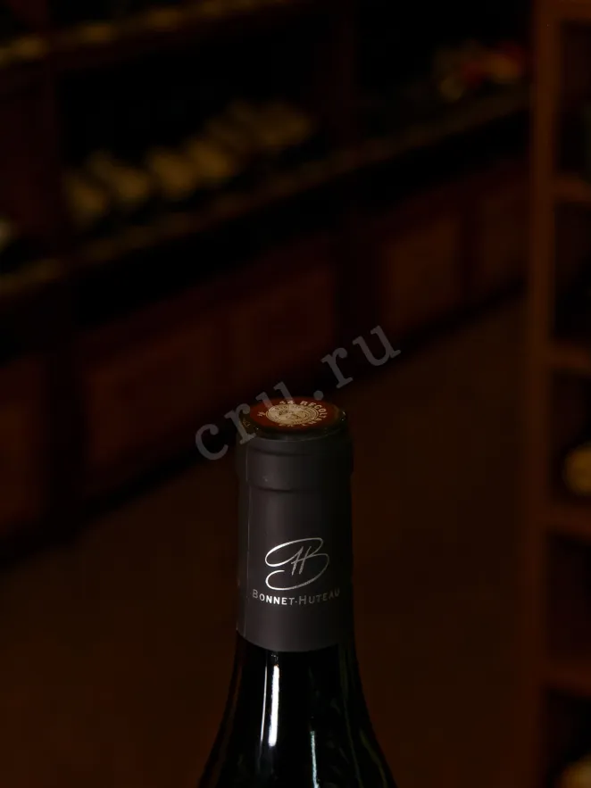 Пробка Bonnet-Huteau Clos Moulin Chartrie Muscadet Sèvre et Maine Sur Lie AOC 2023 0.75 л