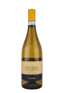 Вино Cesari Fiorile Pinot Grigio 2022 0.75 л