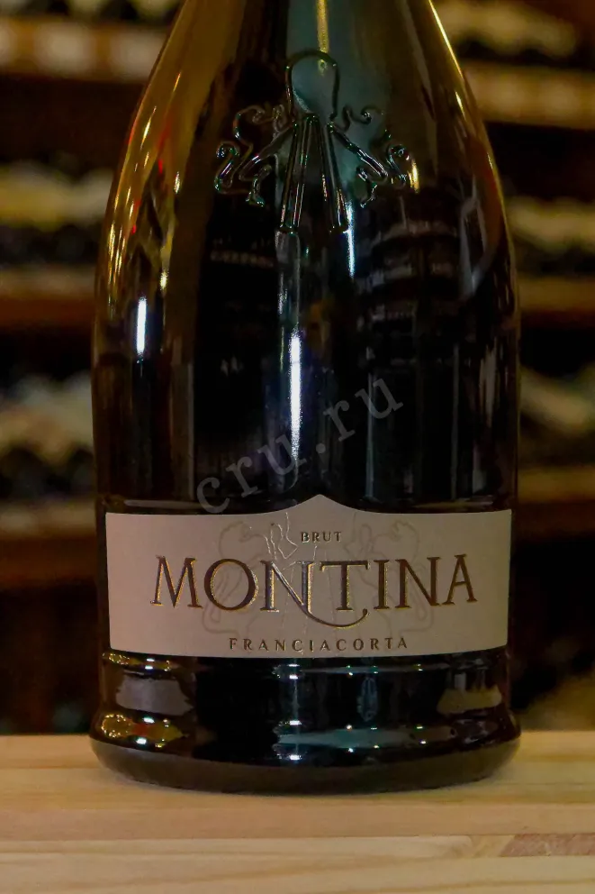 В магазине Крю Профи Montina Franciacorta Brut in gift box 2023 1.5 л