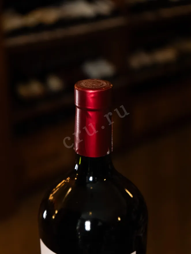 Пробка Alamos Malbec 2021 1.5 л