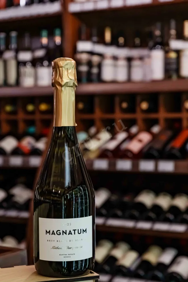 В магазине Крю Профи Magnatum Methode Champenoise Brut Blanc De Blancs 2023 0.75 л