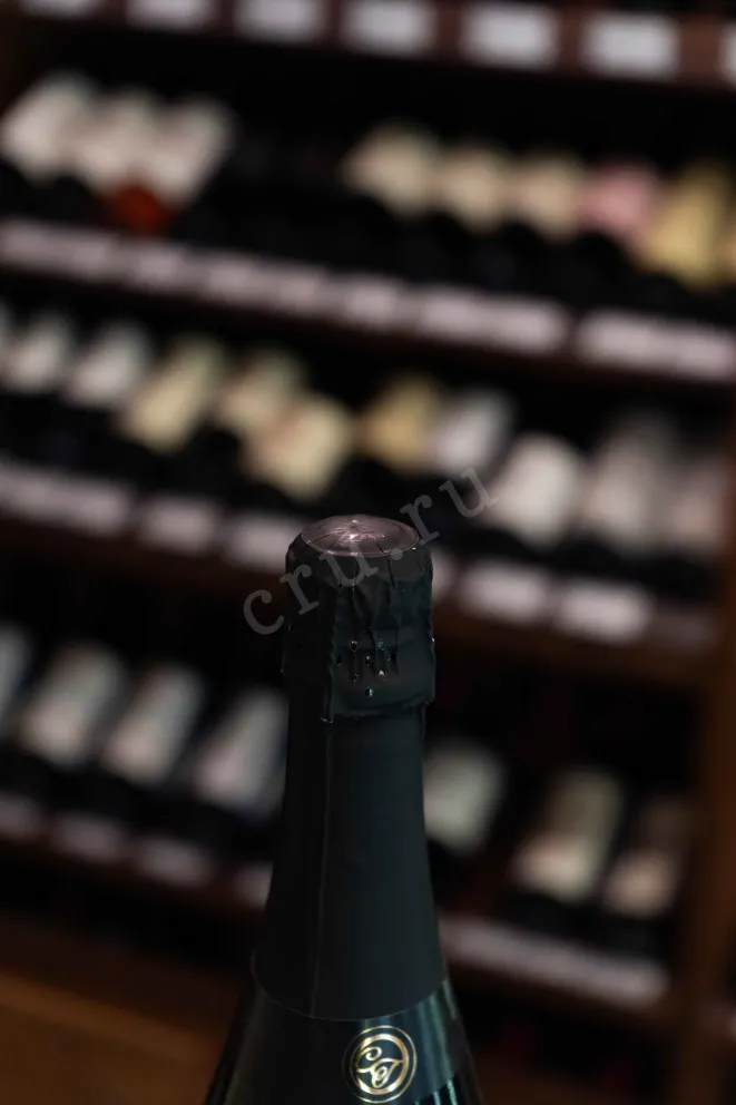 Пробка Josep Masachs Castell del Terme Kosher Cava DO 2024 0.75 л