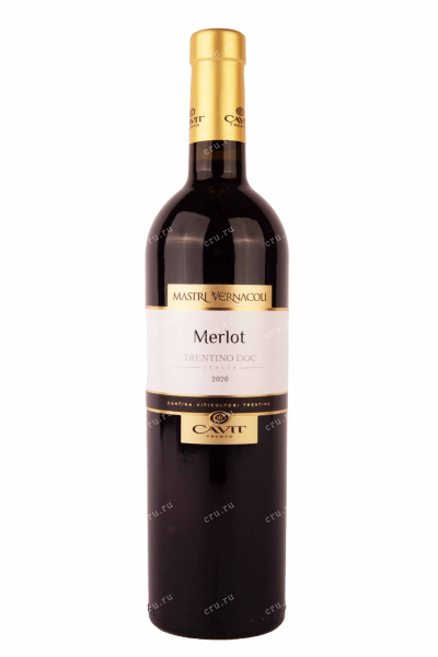 Вино Mastri Vernacoli Merlot 2020 0.75 л