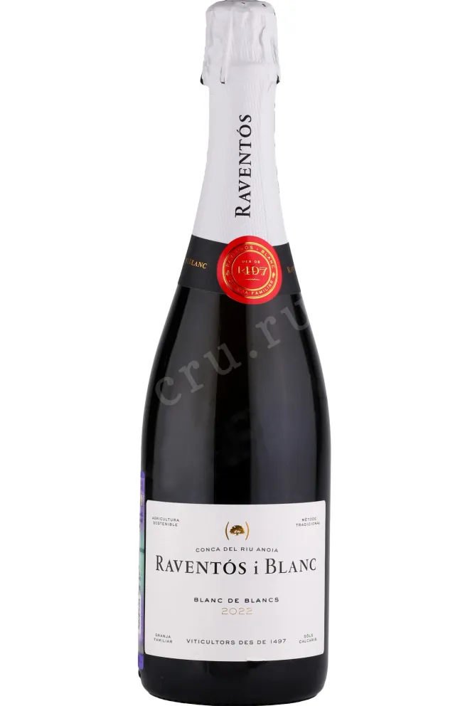 Игристое вино Raventos i Blanc Blanc de Blancs Brut Conca Del Riu Anoia 2023 0.75 л