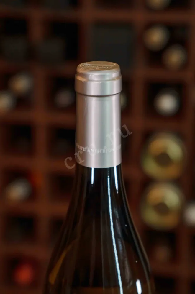 Пробка Castillo Perelada Nomes Garnatxa Blanca Emporda DO 2023 0.75 л