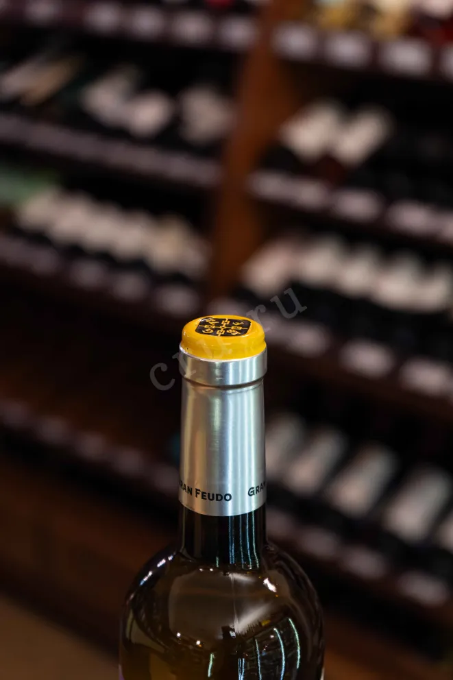 Пробка Gran Feudo Chardonnay 2020 0.75 л