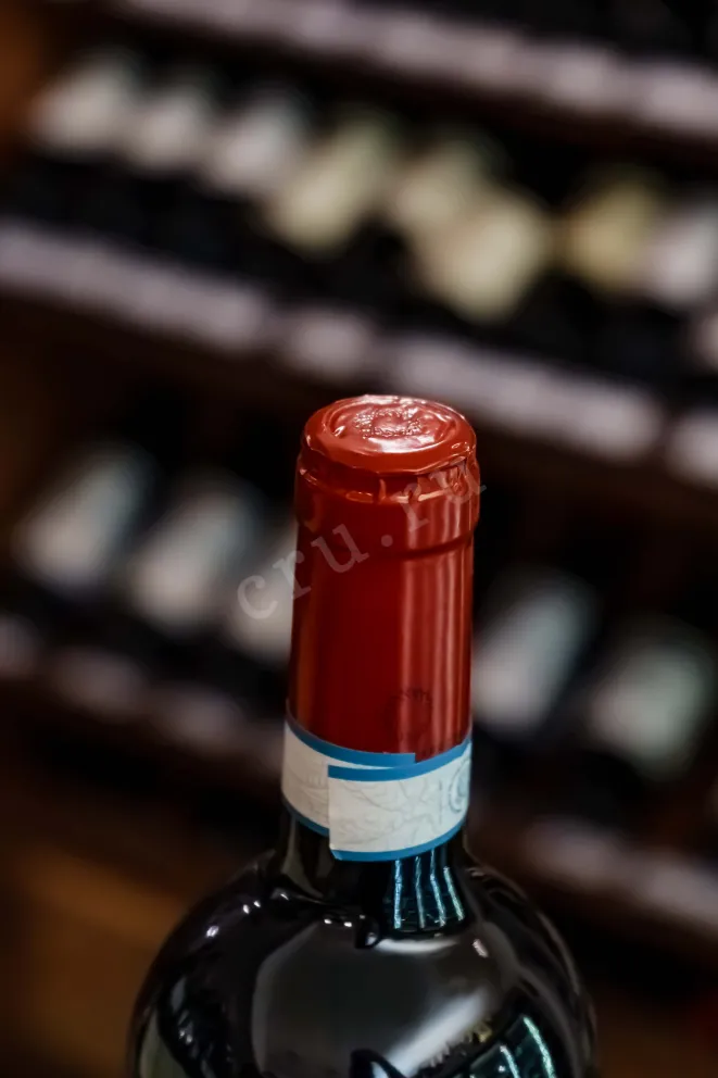 Пробка Roberto Sarotto Excelsius Piemonte Barbera DOC 2022 0.75 л