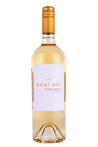 Вино Pinot Grigio Mont Mes Castelfeder 2020 0.75 л