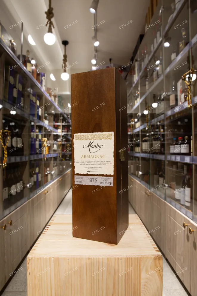 В магазине Крю Профи Monluc 1975 0.7 л