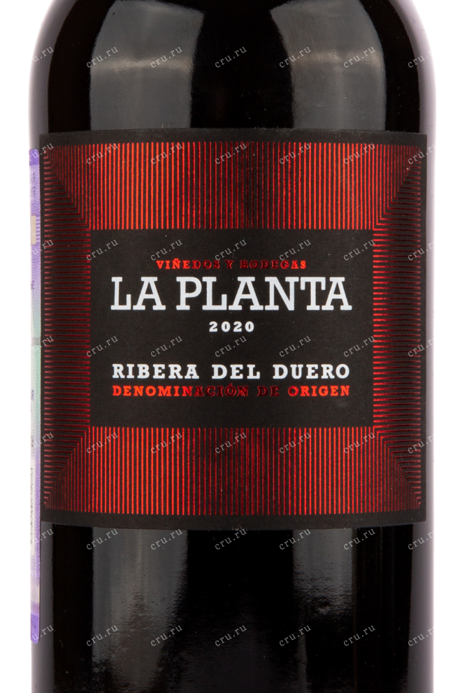 Вино Arzuaga Navarro La Planta 2020 0.75 л