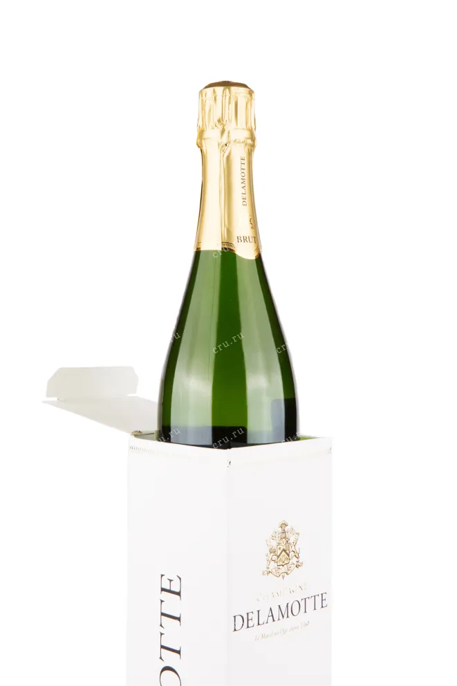 Подарочная коробка игристого вина Delamotte Brut gift box 0.75 л