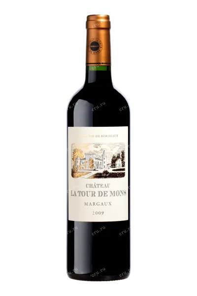Вино Chateau La Tour de Mons Margaux 2009 0.75 л
