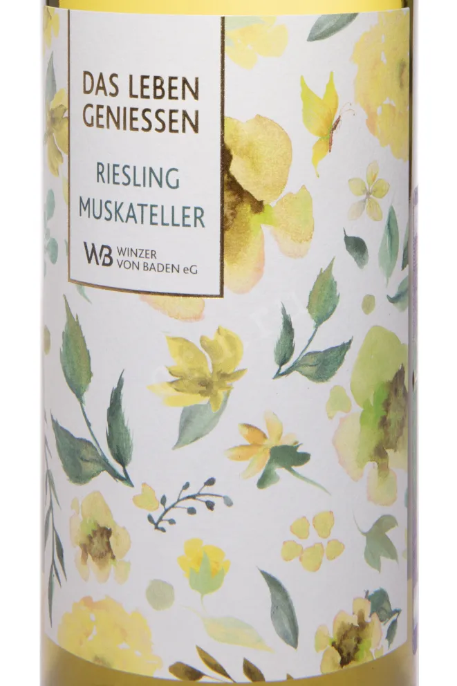 Этикетка Winzer Von Baden Riesling Muskateller 2023 0.75 л