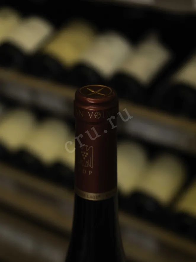 Пробка Van Volxem Goldberg GG Riesling 2022 0.75 л