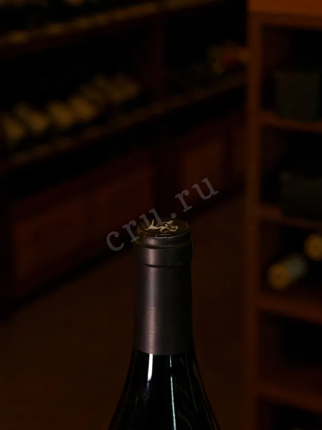 Пробка Clement & Florian Berthier Sancerre 2020 0.75 л