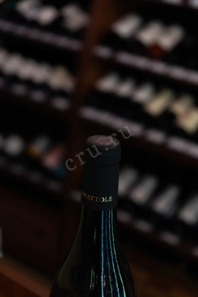 Пробка Cantina Gentili Camattole Chardonnay 2022 0.75 л