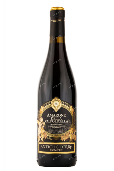 Вино Antiche Terre Venete Amarone della Valpolicella 2013 0.75 л
