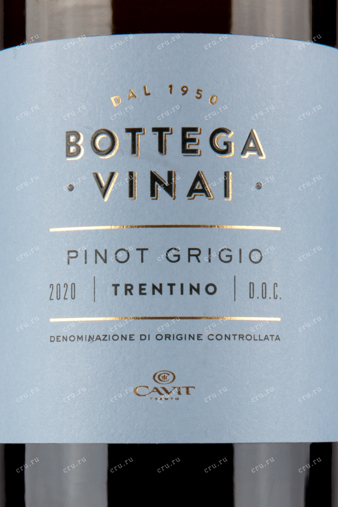 Этикетка вина Bottega Vinai Pinot Grigio 0.75 л