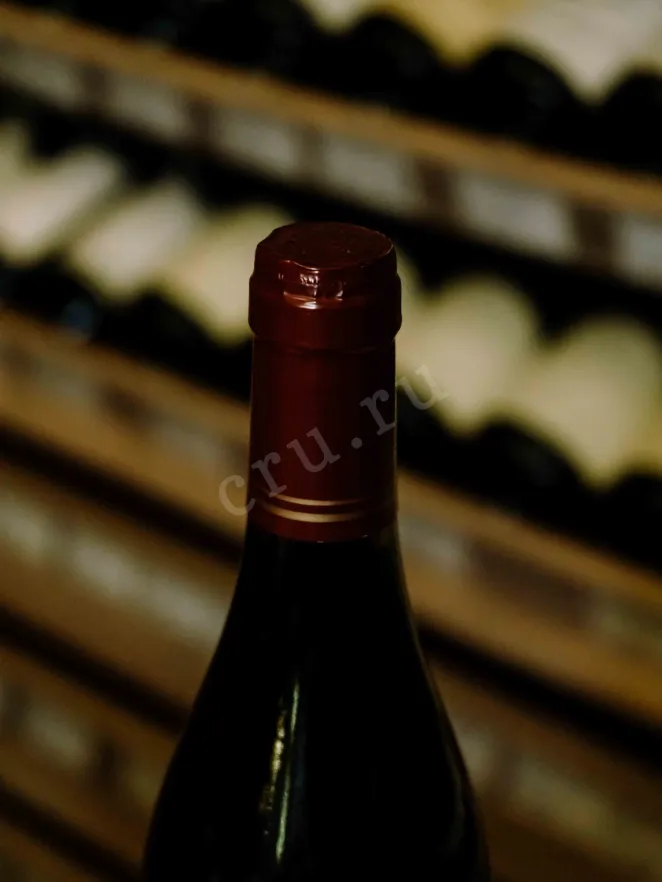 Пробка Nuits-Saint-Georges Frederic Esmonin Les Hauts Pruliers 2021 0.75 л