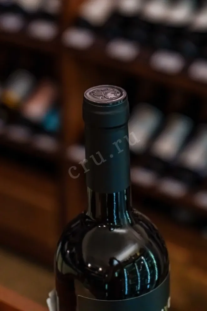 Пробка Desquiciado Salvaje Malbec 2022 0.75 л