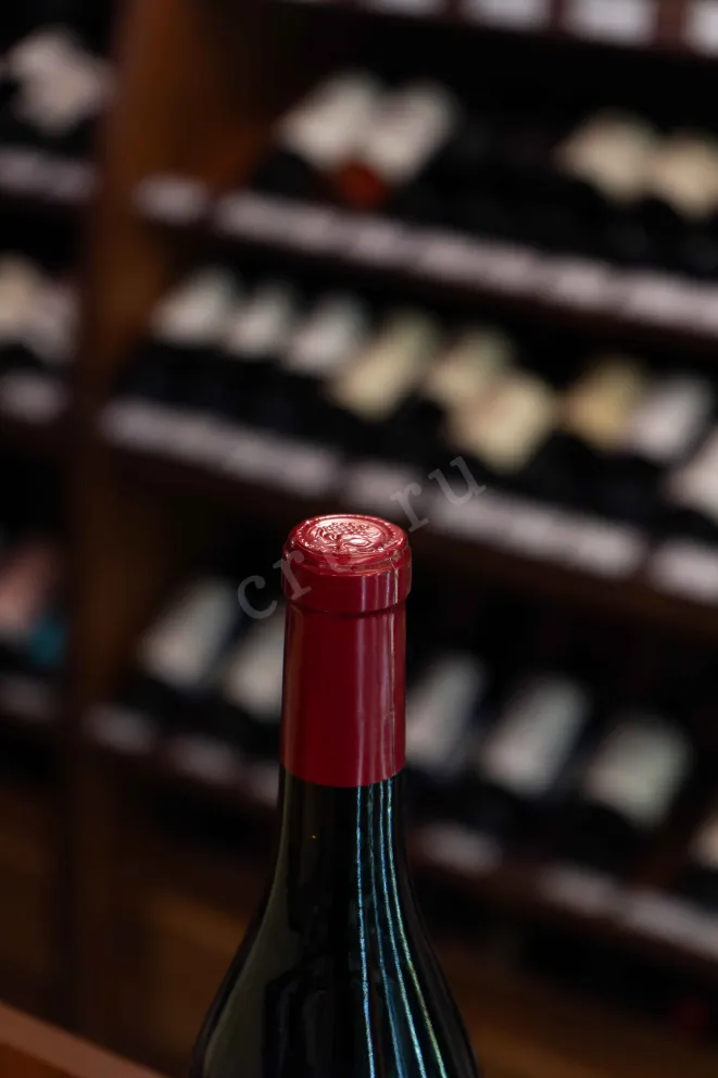 Пробка Delmas Terroir Haute Vallee De l'Aude Pinot Noir 2021 0.75 л