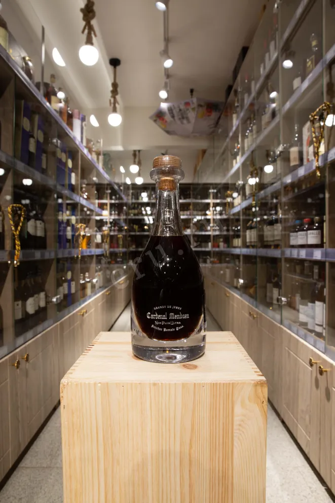 В магазине Крю Профи Cardenal Mendoza Non Plus Ultra 0.5 л