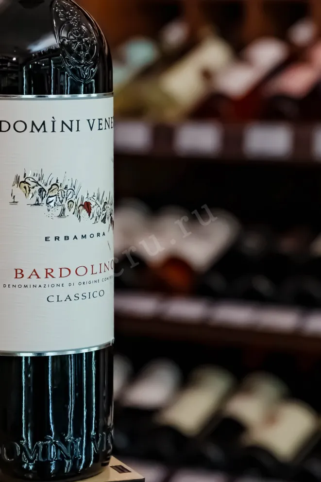 В магазине Крю Профи Domini Veneti Bardolino Classico 2020 0.75 л