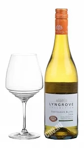 Вино Lyngrove Collection Sauvignon Blank DO 2016 0.75 л