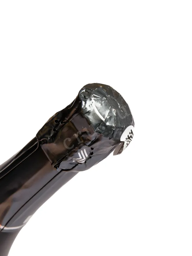Пробка Chateau Tamagne white brut 2023 1.5 л