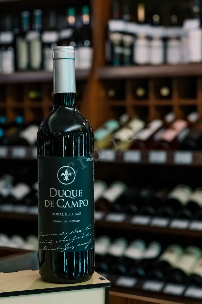 В магазине Крю Профи Vicente Gandia Duque De Campo Bobal & Shiraz DOP 2022 0.75 л