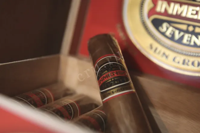 В магазине Крю Профи Perdomo Inmenso Seventy Robusto Sun Grown *16