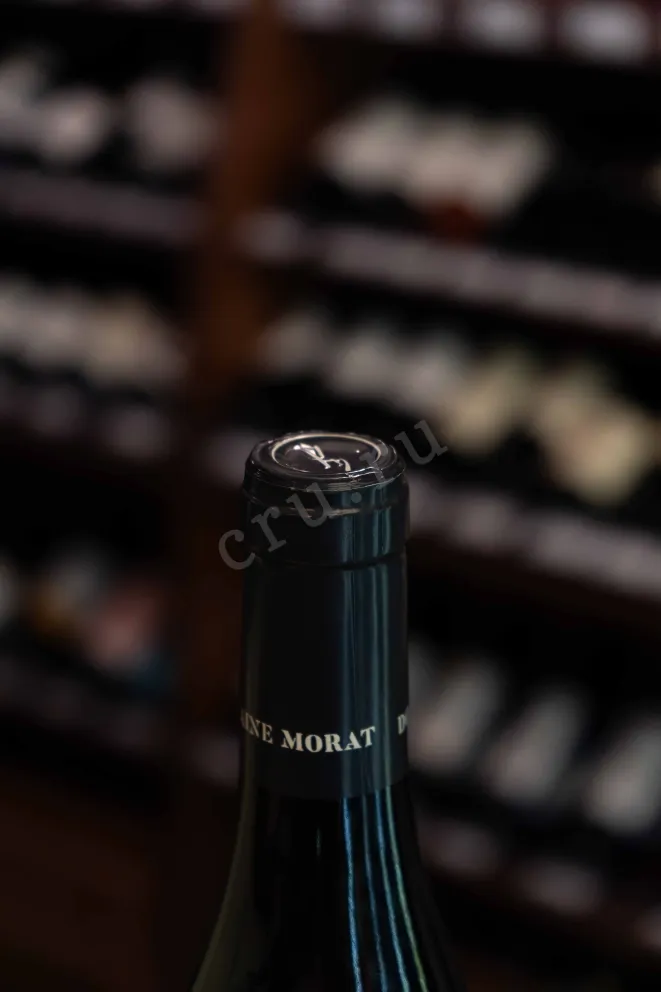 Пробка Gilles Morat Pouilly-Fuisse Belemnites 2022 0.75 л