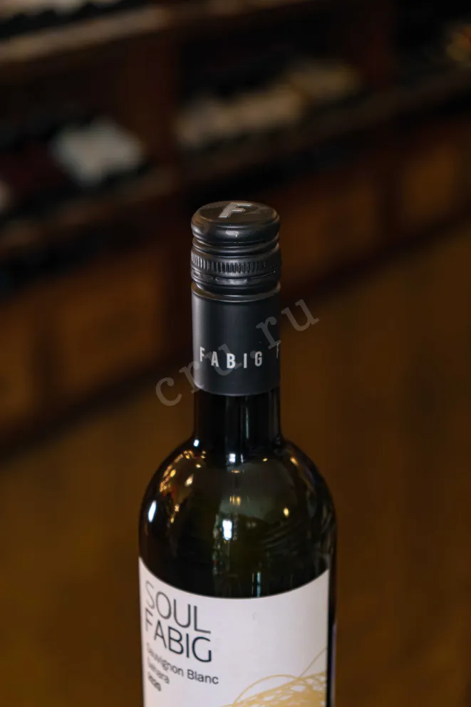 Пробка Fabig Soul Sauvignon Blanc Sahara 2020 0.75 л