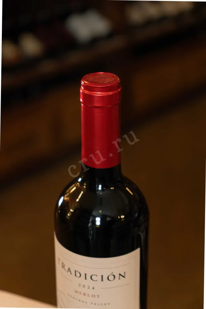 Пробка Tradicion Merlot 2024 0.75 л