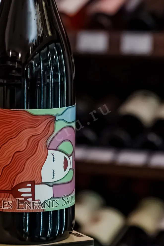 В магазине Крю Профи Domaine Les Enfants Sauvages Cotes Catalanes  Che 2022 0.75 л