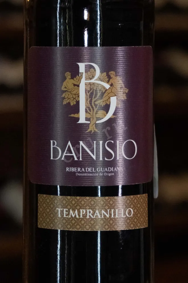 В магазине Крю Профи Banisio Tempranillo 2022 0.75 л