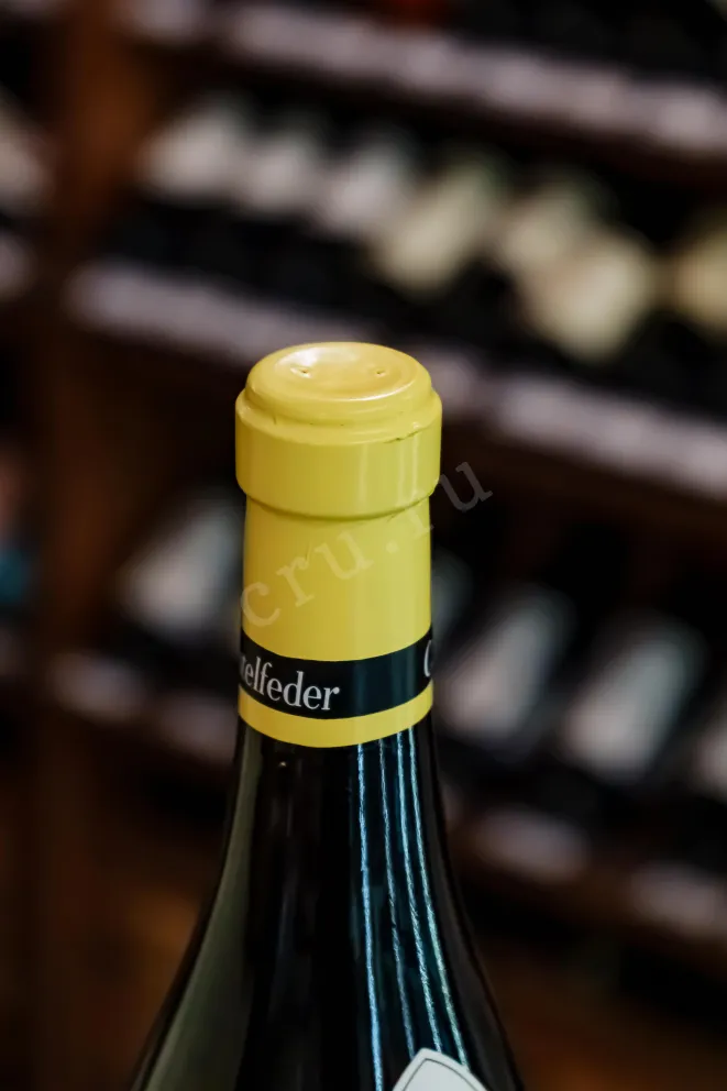 Пробка Castelfeder Burgum Novum Chardonnay Riserva DOC 2021 0.75 л