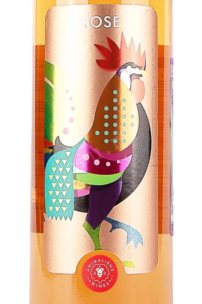 Этикетка Castel Mimi Anim Aliens Pinot Noir-Saperavi-Rara Neagra 2021 0.75 л