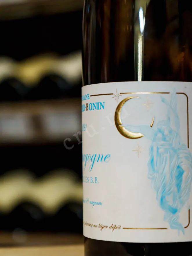 В магазине Крю Профи Domaine Bernard-Bonin Initiales BB 2021 0.75 л