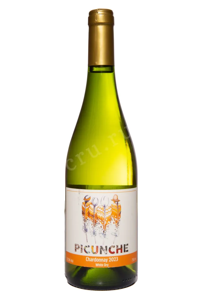 Вино Picunche Chardonnay Central Valley 2023 0.75 л