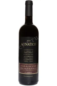 Вино Acinatico Amarone della Valpolicella Classico 2021 0.75 л